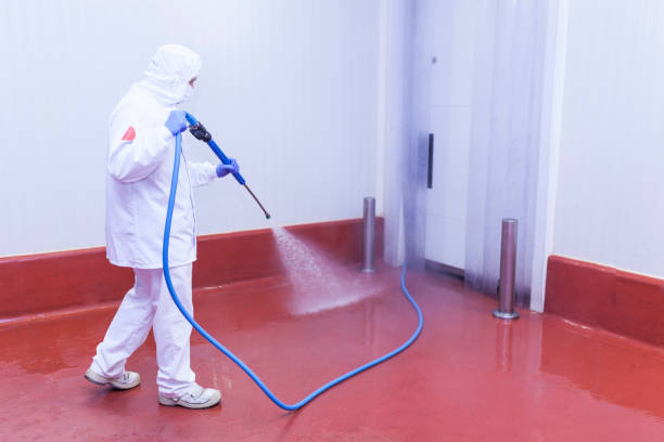 Best Soft Washing  in Santa Rita Ranch, TX